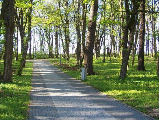Wypożyczalnia rowerów w Kołobrzegu